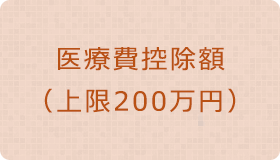 医療費控除額（上限200万円）